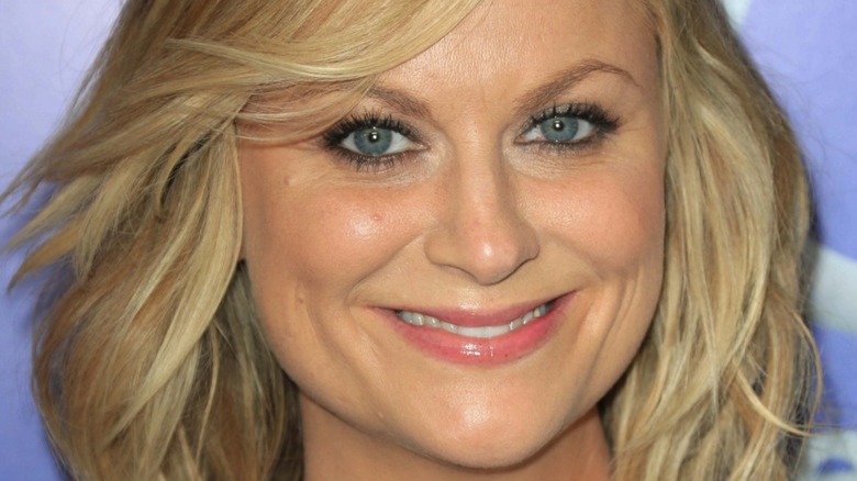 Amy Poehler smiles