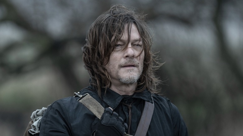 Daryl Dixon with windblown hair